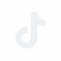 tiktok-icon-t